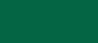 Green 6 Synthetic Food Color